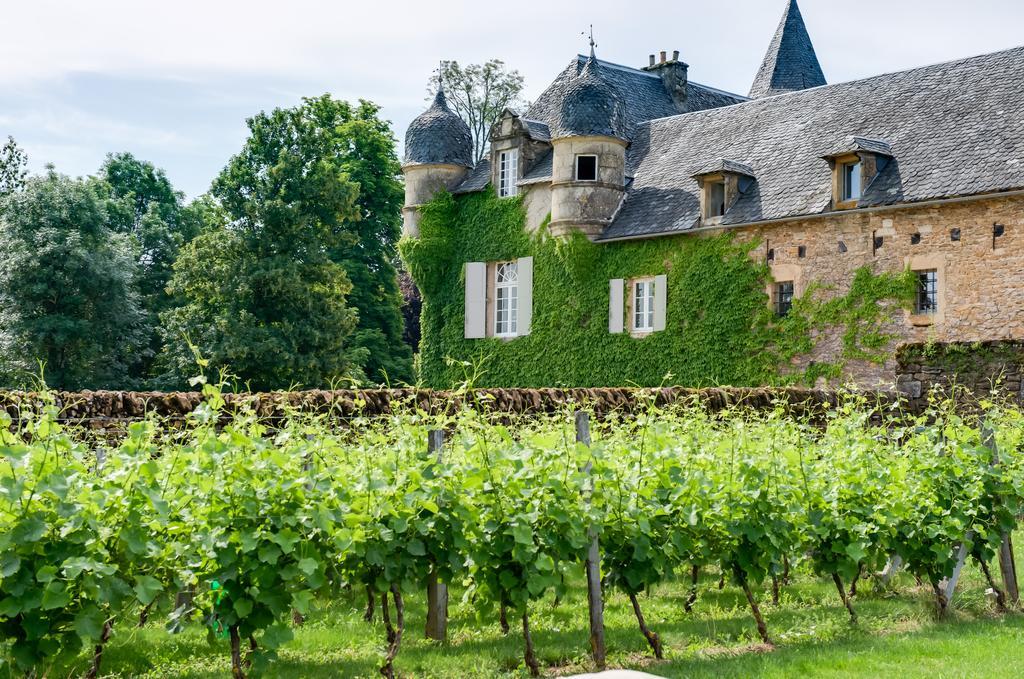 Château de Labro - Les Collectionneurs Onet-le-Chateau Exterior foto