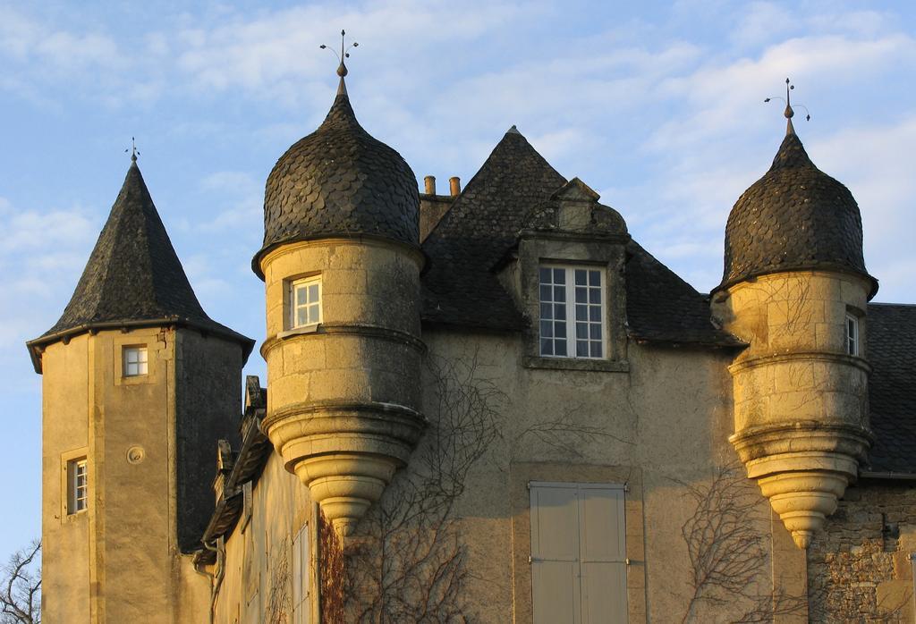 Château de Labro - Les Collectionneurs Onet-le-Chateau Exterior foto